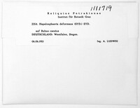 Image Associated With the Occurence